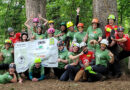 Women’s Tree Climbing Workshop Training Programs    