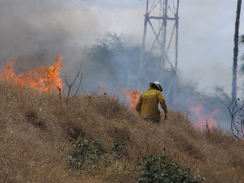 Vegitation management is critical around powerlines. Our communities could be one storm away from a downed powerline sparking a brush fire.