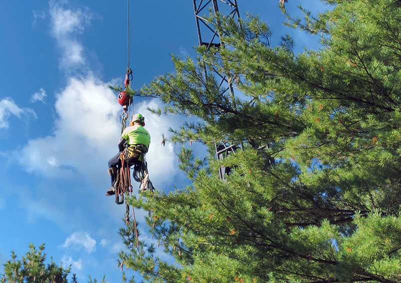 The Z133 and OSHA conflict as to whether it is acceptable to safely hoist tree care personnel with a crane.