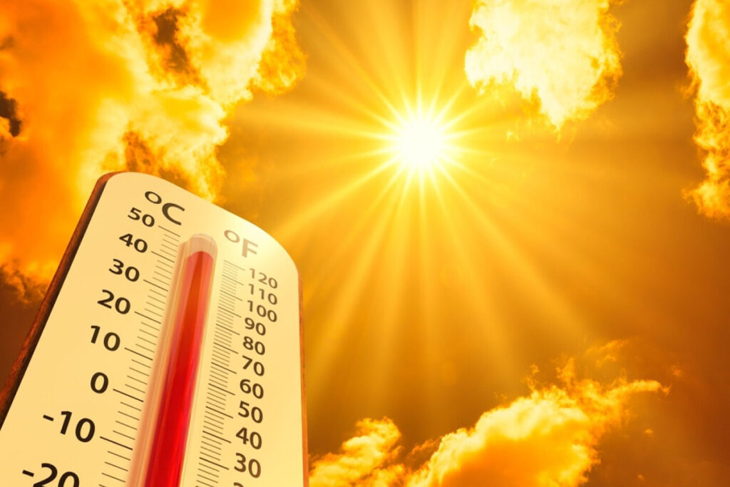 Working outside in direct sunlight and heat for extended periods increases the risk of heat-related illnesses on the job. Source: Adobe Stock