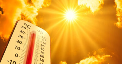 Working outside in direct sunlight and heat for extended periods increases the risk of heat-related illnesses on the job. Source: Adobe Stock