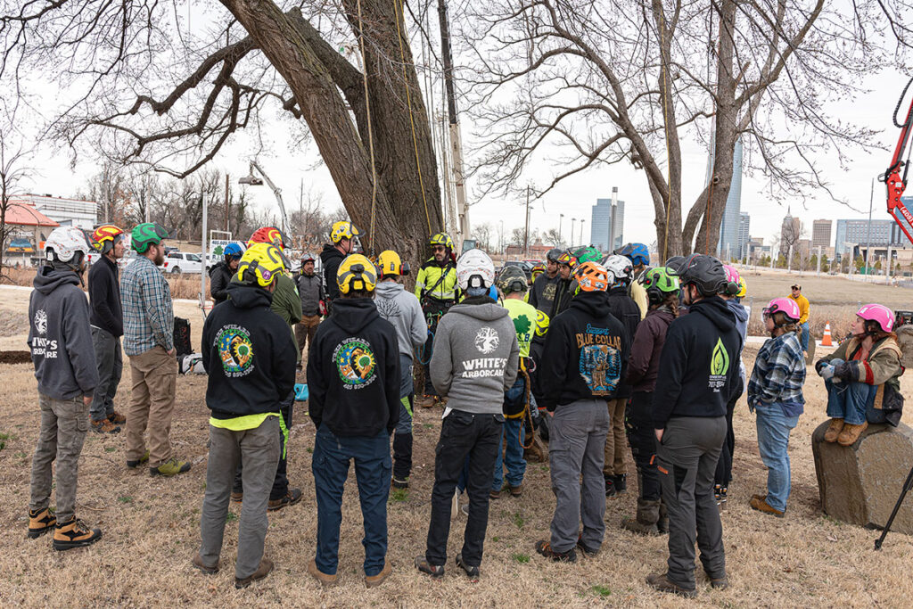 Safely extricating an injured colleague from a tree requires patience, focus, and thorough training.  Source: Bobby Eshleman