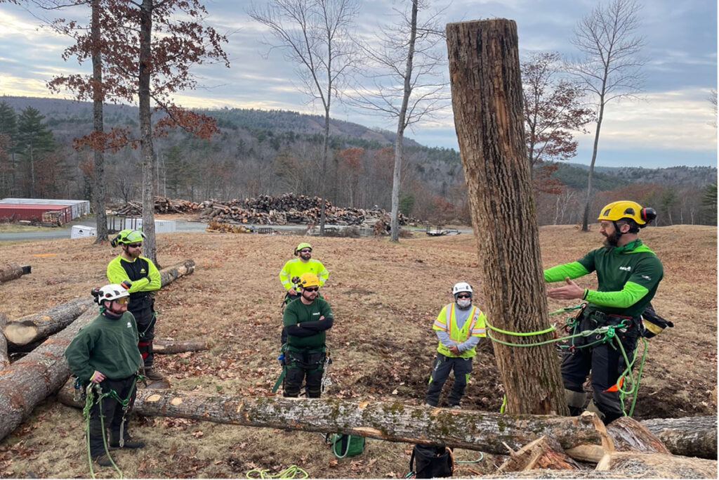 The limb walking playground gives climbers of all experience levels a way to practice their balance and
limb-walking skills or even try out new climbing systems. Source: Travis Vickerson