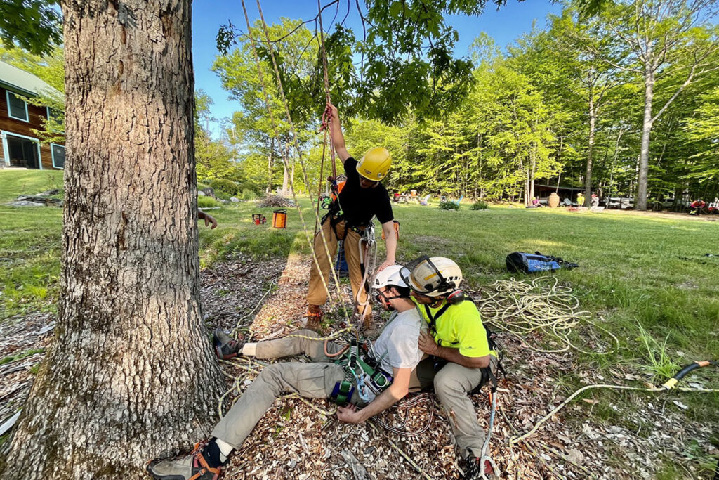 It is critical to have someone who can take charge in an emergency situation. Source: Women’s Tree Climbing Workshop®
It is critical to have someone who can take charge in an emergency situation. Source: Women’s Tree Climbing Workshop®
