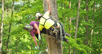 The Women’s Tree Climbing Workshop’s (WTCW) aerial rescue class plays a crucial role in ensuring that a Job Safety Analysis (JSA) is executed smoothly and effectively. Source: Women's Tree Climbing Workshop®