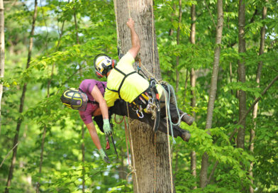 The Women’s Tree Climbing Workshop’s (WTCW) aerial rescue class plays a crucial role in ensuring that a Job Safety Analysis (JSA) is executed smoothly and effectively. Source: Women's Tree Climbing Workshop®