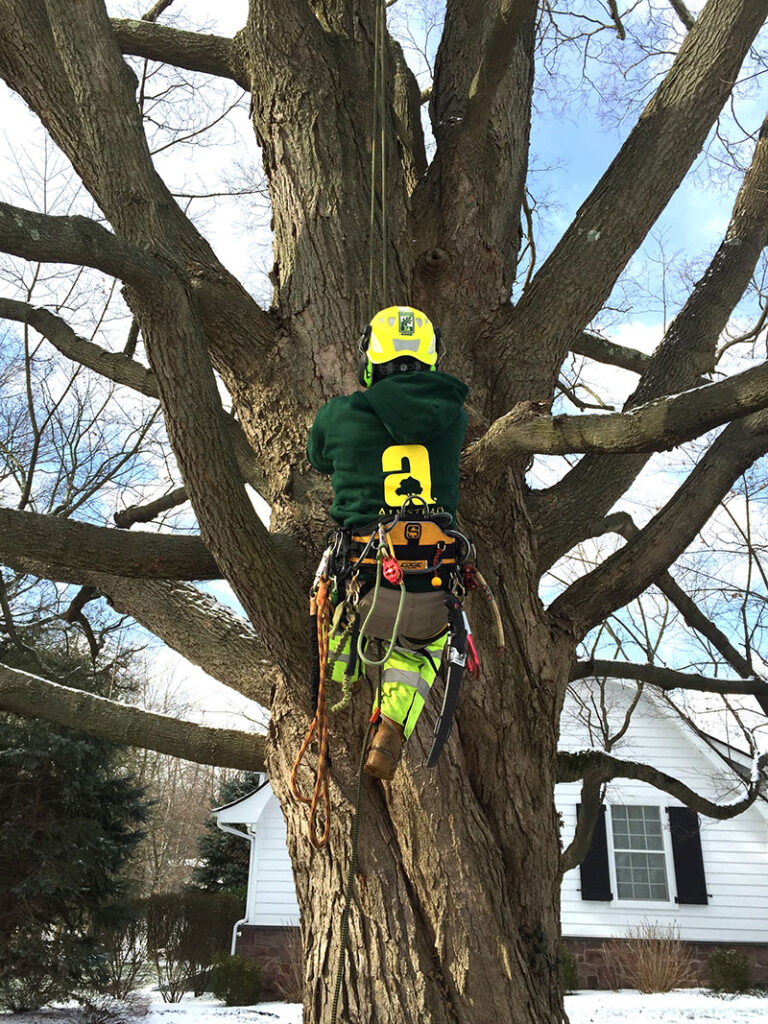 While job perks are crucial, hiring staff concurs that the most important aspect of the job for climbers is safety. Source: Almstead