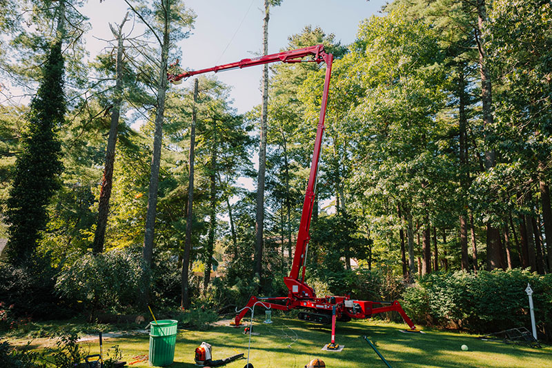 More than just an issue of space, determining the best aerial lift for a project also depends on the structure of the canopy and necessary permits. Source: CMC North America
