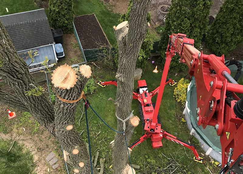 Selecting the right aerial lift for the right job today and every day ensures optimal safety and performance for current and future generations of tree care workers. Source: CMC North America
