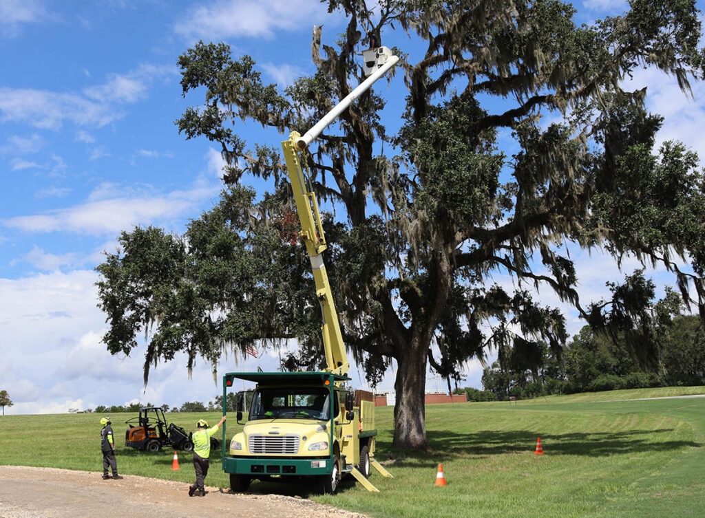 With their robust design, it is no surprise that bucket trucks are often used for heavy-duty jobs. Source: Richard May