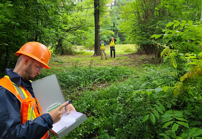 Before planting trees, it is crucial to assess the urban environment, including soil, space, climate, and infrastructure, to ensure the right trees are placed in optimal locations. Source: PRF Specialists