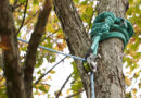 A reliable rigging system can be the difference between a successful tree care task and an onsite emergency. Source: Tree Stuff