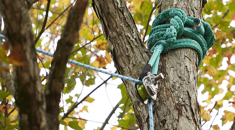 A reliable rigging system can be the difference between a successful tree care task and an onsite emergency. Source: Tree Stuff