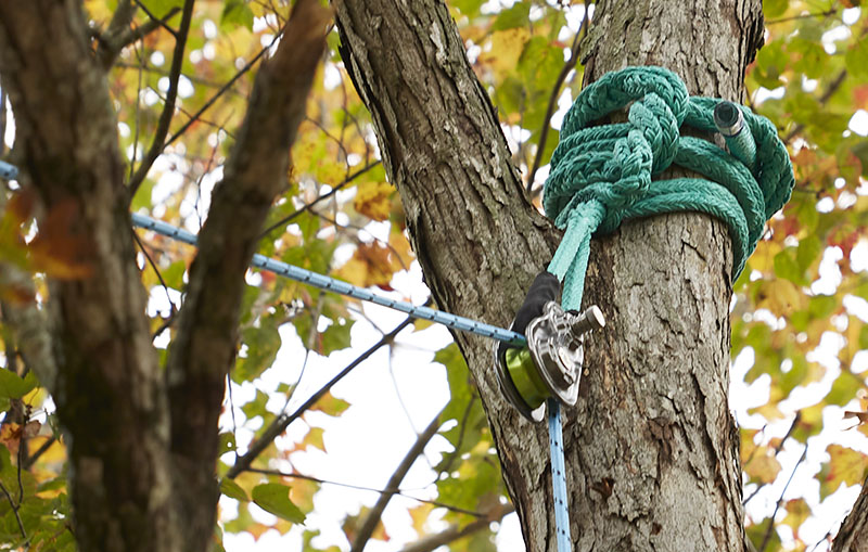 A reliable rigging system can be the difference between a successful tree care task and an onsite emergency. Source: Tree Stuff