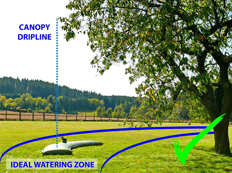 Once placed, the TREEIB bags are filled with water using a garden hose or even a fire hose. The heavy-duty, reusable 400-gallon bags release water over eight to 22 hours and are then removed from around the tree. Source: TREEIB