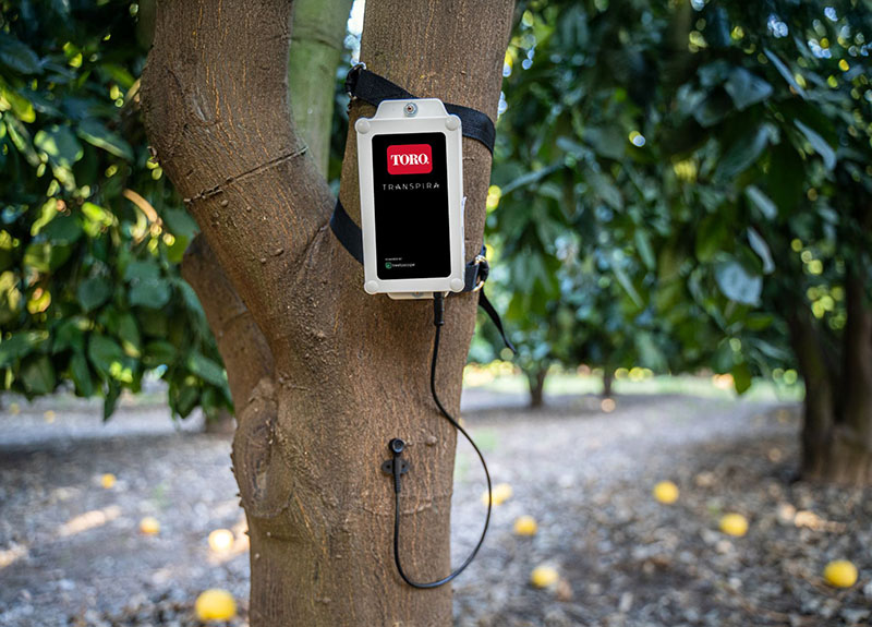 The Toro Company has introduced Transpira, a plant sensing technology that measures a tree’s water usage by monitoring sap flow in the xylem to provide data for more informed irrigation decisions. Source: Toro Company