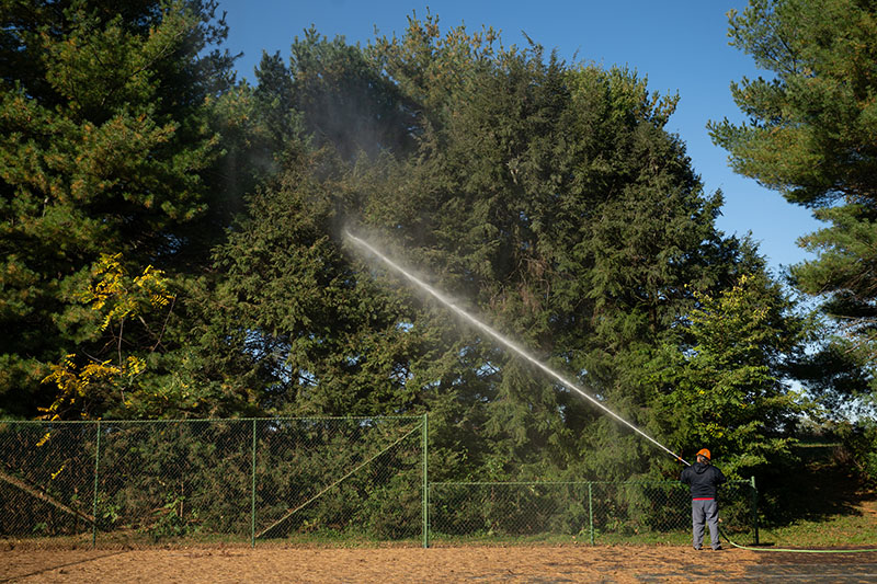 A tree care worker spraying a pesticide onto trees.