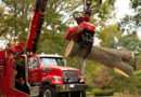 A tred ruck with a grapple saw