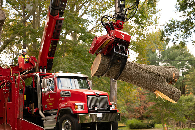 A tred ruck with a grapple saw