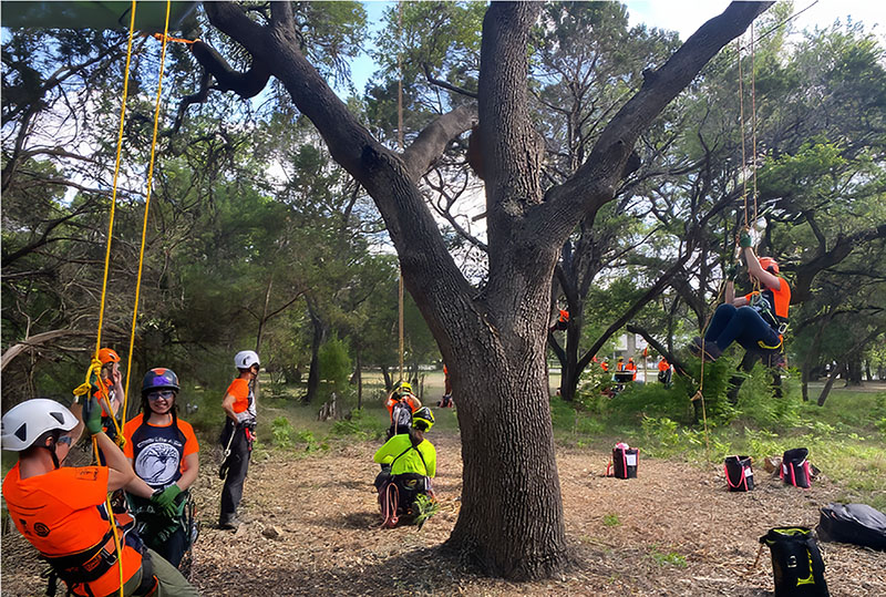 A group of students with ropes in the trees while participating in a Women's Tree Climbing Workshop®.