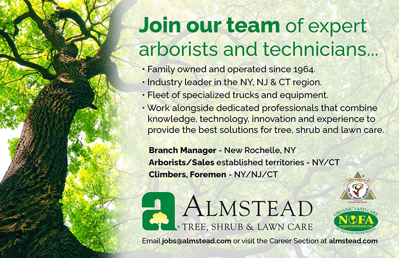 An Almstead Tree and Shrub care ad with "Join our Team" as a headline.