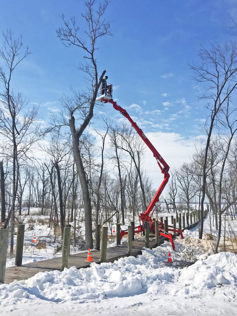 A tree worker in a compact aerial lift pruning a tree above a boardwalk.