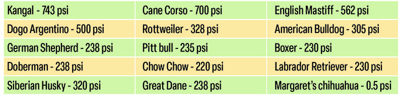 A chart depicting the different bite force of various dog breeds.