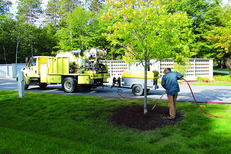 A tree worker using an Air Spade to decompact soil.