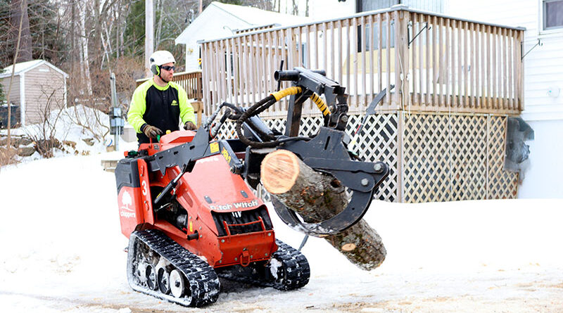 A tree worker uses a skid steer to carry a large log from a job site.