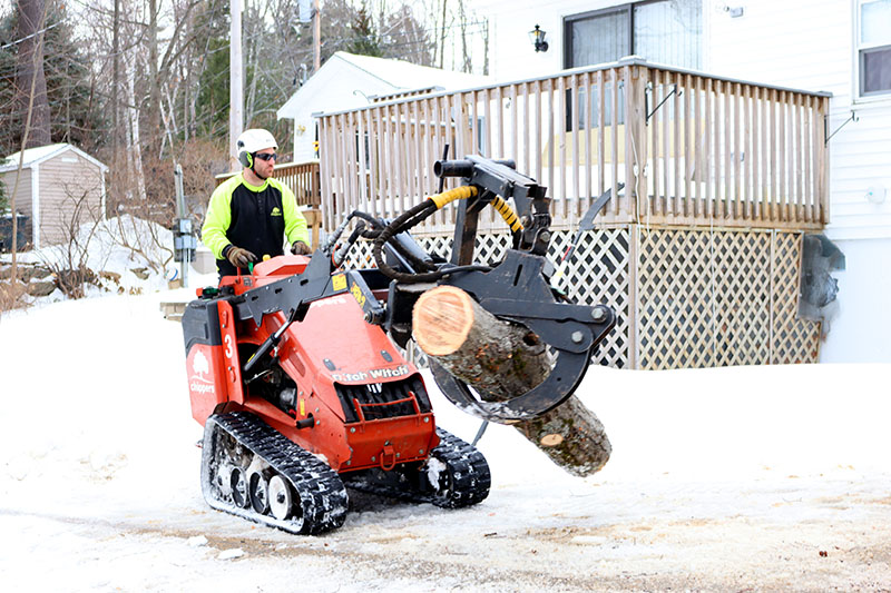 A tree worker uses a skid steer to carry a large log from a job site.