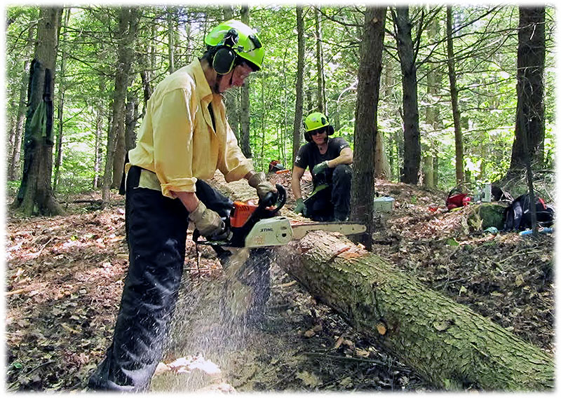 Pam & Melissa using a chainsaw.