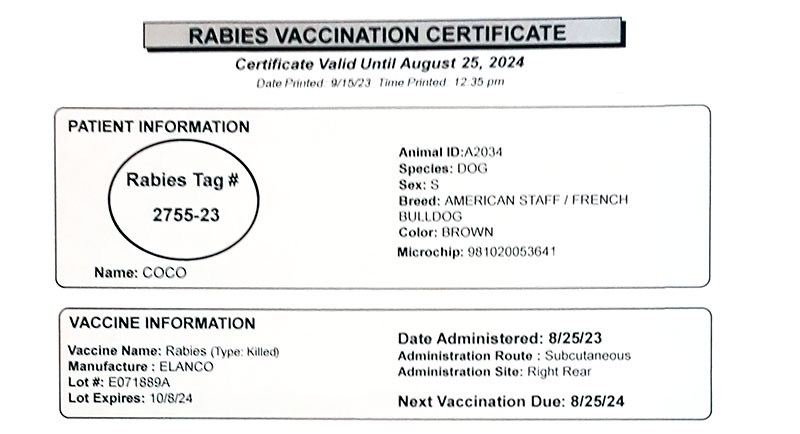 A dog's rabies vaccination information.