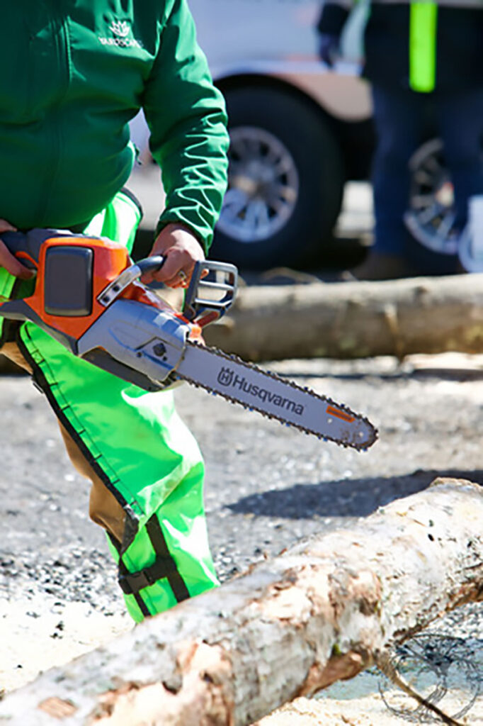 A tree worker using an electric chainsaw.