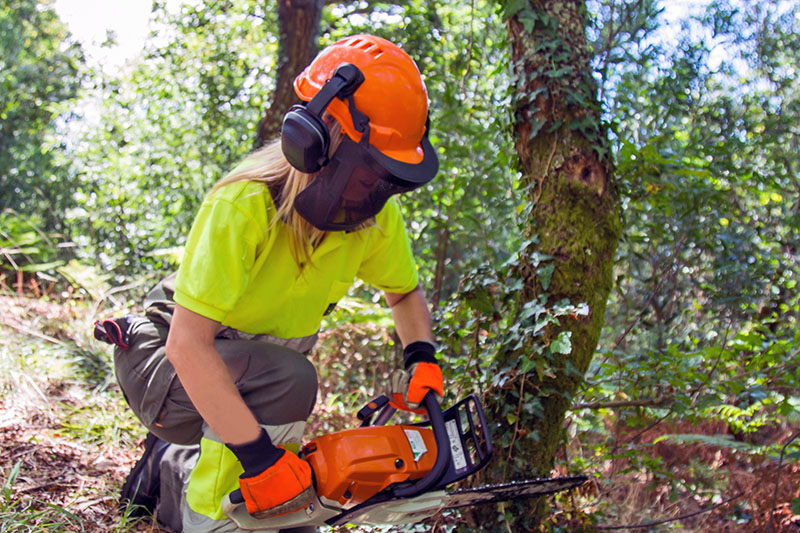 forest worker with chainsaw cutting trees