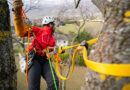 Gear up smart with a customized harness. This improves workflow and reduces unnecessary strain on the body. Source: Petzl