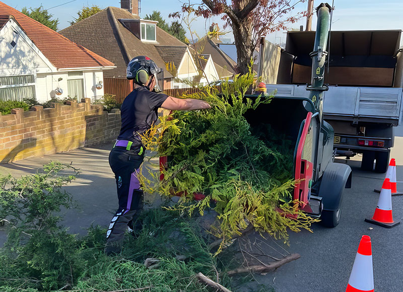 Proper fit isn't about looking good — it's a safety requirement. Women in tree care deserve equipment that moves with them, not against them. Source: Emily Allison