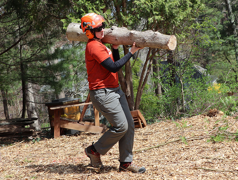 The intense physical demands of arboriculture, coupled with its narrow profit margins, pose significant challenges to workplace diversity.