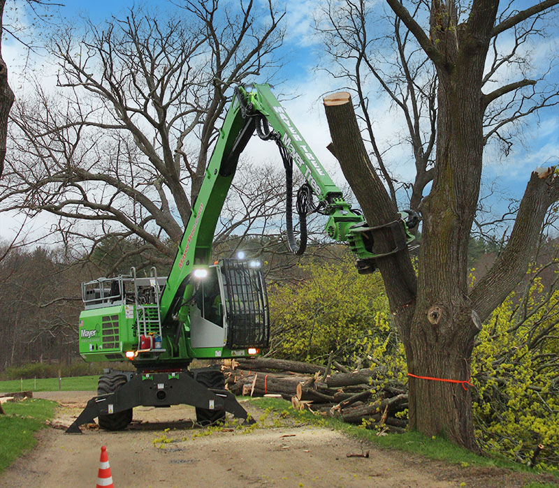 Mechanization in the tree care industry has helped lower workers’ comp rates. Source: Richard May