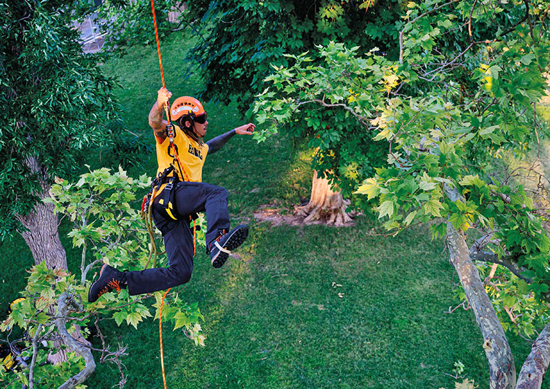Designed for the canopy, arborist harnesses are purpose-built for mobility, durability, and day-long wear. Source: Petzl