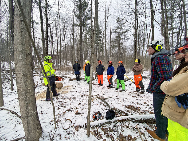 Founded with the goal of building equity in tree care, the Women’s Tree Climbing Workshop (WTCW) continues to grow as a vital entry point for women in the industry.