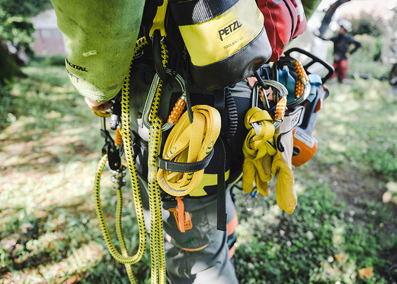 Smart weight distribution protects your back and keeps you balanced in the tree. Source: Petzl