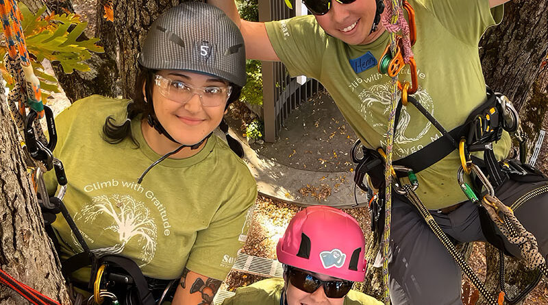 Attendees at a Women's Tree Climbing Workshop wearing climbing gear and PPE while in a tree.