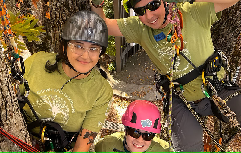 Attendees at a Women's Tree Climbing Workshop wearing climbing gear and PPE while in a tree.