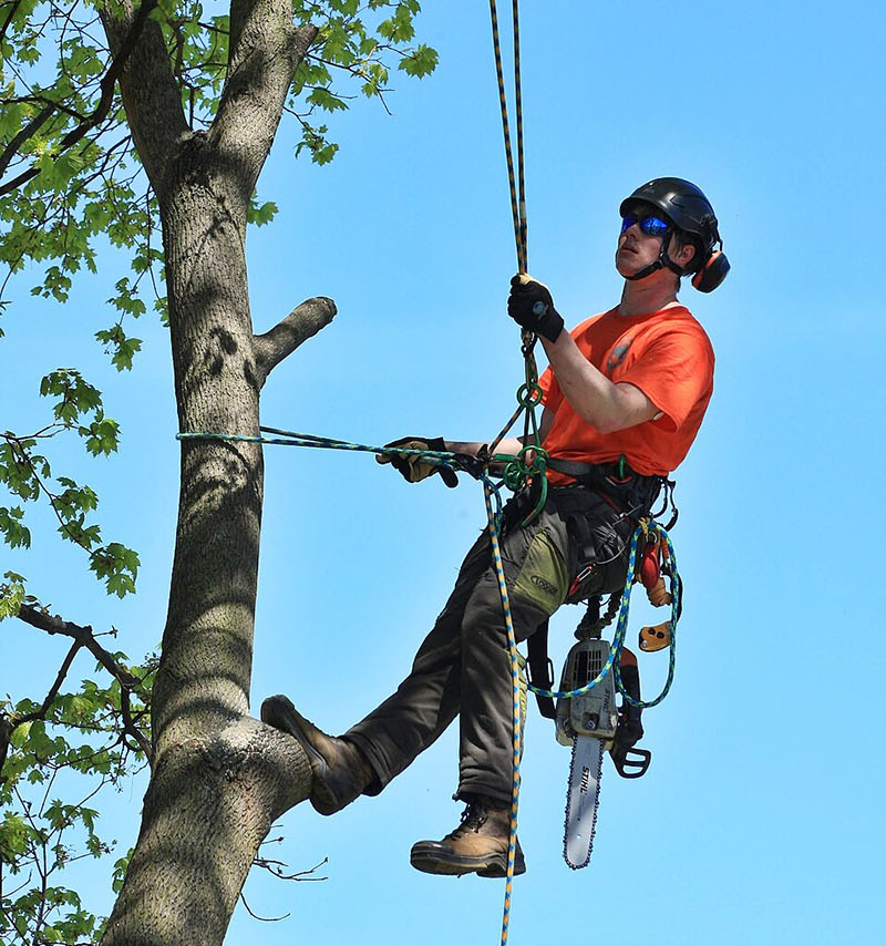 What’s most important to remember about friction-based climbing is its reliance on solid, foundational knowledge on knots, hitches, and rope performance.