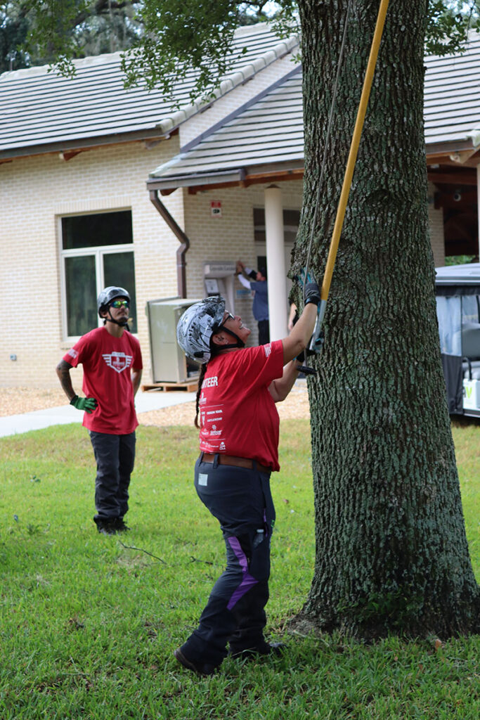 The A300 standards outline how to develop clear, consistent specifications for tree care work, including pruning, fertilizing, or managing trees. Source: Richard May
