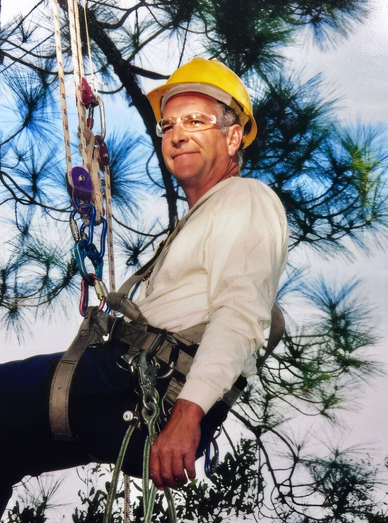 Phillips in his early days—high above the ground, doing what he did best as a skilled arborist.