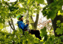 New climbers typically start with an intuitive climbing system like MRS before mastering more advanced techniques. Source: All photos from the author unless otherwise noted.