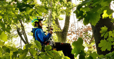 New climbers typically start with an intuitive climbing system like MRS before mastering more advanced techniques. Source: All photos from the author unless otherwise noted.