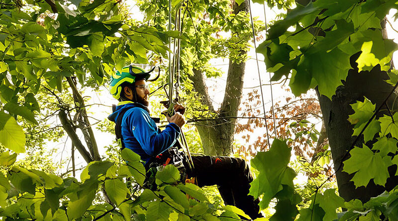 New climbers typically start with an intuitive climbing system like MRS before mastering more advanced techniques. Source: All photos from the author unless otherwise noted.