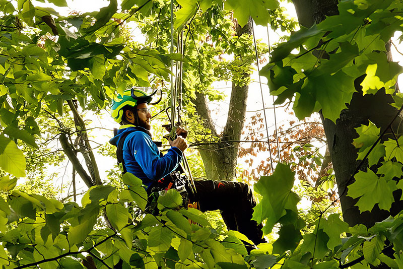 New climbers typically start with an intuitive climbing system like MRS before mastering more advanced techniques.  Source: All photos from the author unless otherwise noted.